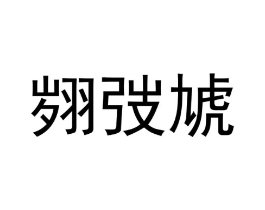 翙弢虓商标原图 第10类医疗器械