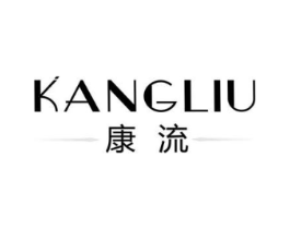 康流商标原图 第10类医疗器械