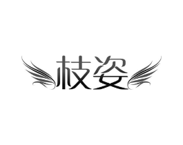 枝姿商标原图 第10类医疗器械