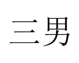 三男商标原图 第10类医疗器械