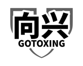 向兴 GOTOXING商标原图 第10类医疗器械