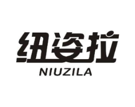 纽姿拉商标原图 第10类医疗器械