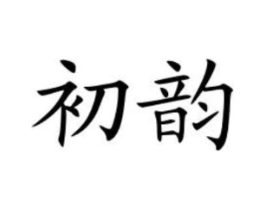 初韵商标原图 第10类医疗器械