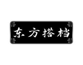 东方搭档商标原图 第10类医疗器械