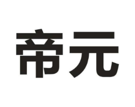 帝元商标原图 第10类医疗器械