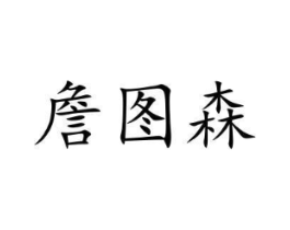 詹图森商标原图 第10类医疗器械