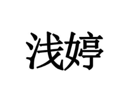 浅婷商标原图 第10类医疗器械