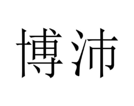 博沛商标原图 第10类医疗器械