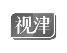 视津商标原图 第10类医疗器械