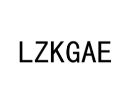 LZKGAE商标原图 第10类医疗器械