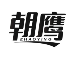朝鹰商标原图 第10类医疗器械