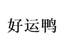 好运鸭商标原图 第10类医疗器械