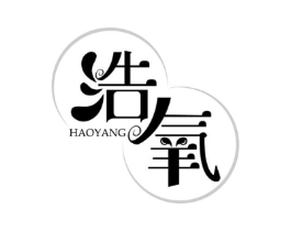 浩氧商标原图 第10类医疗器械