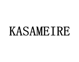 KASAMEIRE商标原图 第10类医疗器械