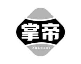 掌帝商标原图 第10类医疗器械