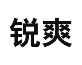 锐爽商标原图 第10类医疗器械