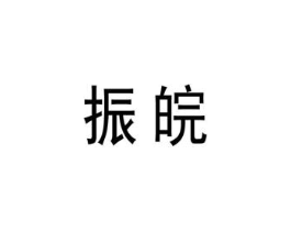 振皖商标原图 第10类医疗器械