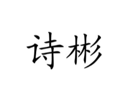诗彬商标原图 第10类医疗器械