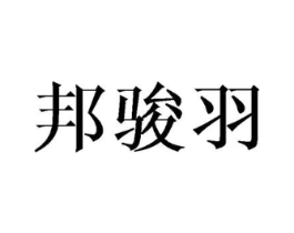 邦骏羽商标原图 第10类医疗器械