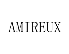 AMIREUX商标原图 第10类医疗器械