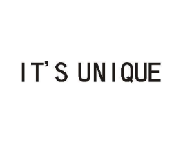 IT'S UNIQUE商标原图 第10类医疗器械