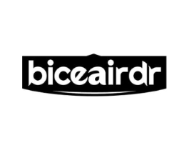 BICEAIRDR商标原图 第10类医疗器械