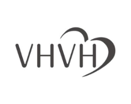 VHVH商标原图 第10类医疗器械