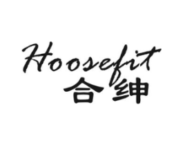 合绅 HOOSEFIT商标原图 第10类医疗器械