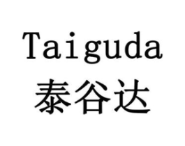 泰谷达商标原图 第10类医疗器械