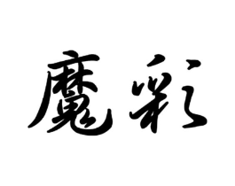 魔彩商标原图 第10类医疗器械
