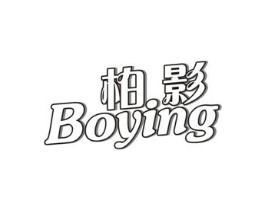 柏影商标原图 第10类医疗器械