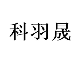 科羽晟商标原图 第10类医疗器械
