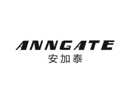 安加泰 ANNGATE商标原图 第10类医疗器械