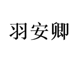 羽安卿商标原图 第10类医疗器械