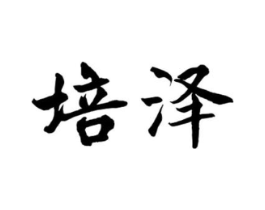 培泽商标原图 第10类医疗器械