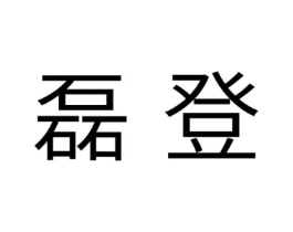 磊登商标原图 第10类医疗器械
