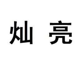 灿亮商标原图 第10类医疗器械