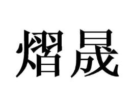熠晟商标原图 第10类医疗器械
