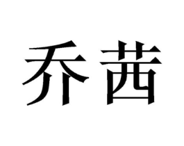 乔茜商标原图 第10类医疗器械