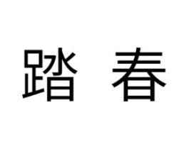 踏春商标原图 第10类医疗器械