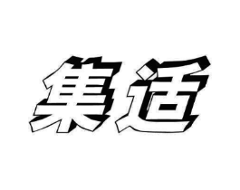 集适商标原图 第10类医疗器械