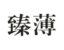 臻薄商标原图 第10类医疗器械