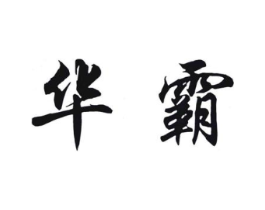 华霸商标原图 第10类医疗器械