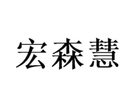 宏森慧商标原图 第10类医疗器械