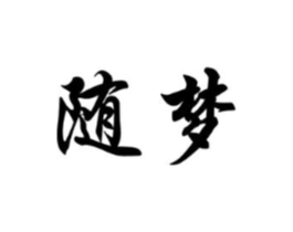 随梦商标原图 第10类医疗器械