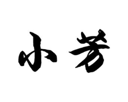 小芳商标原图 第10类医疗器械