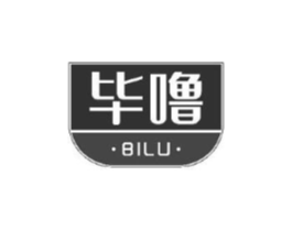 毕噜商标原图 第10类医疗器械