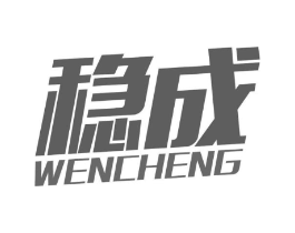 稳成商标原图 第10类医疗器械