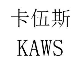 卡伍斯 KAWS商标原图 第10类医疗器械
