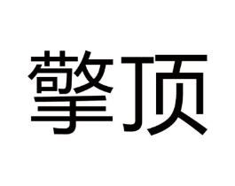 擎顶商标原图 第10类医疗器械